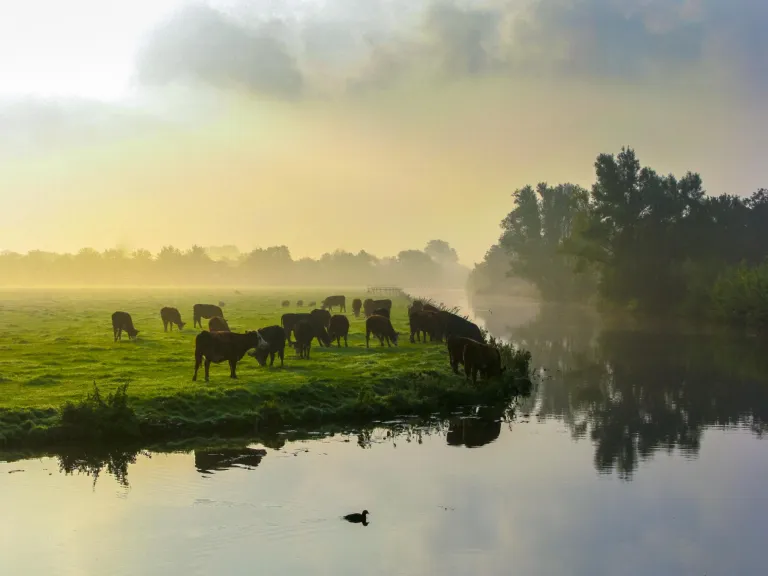 Introducing the Centre of Excellence for Netherlands Biodiversity Research