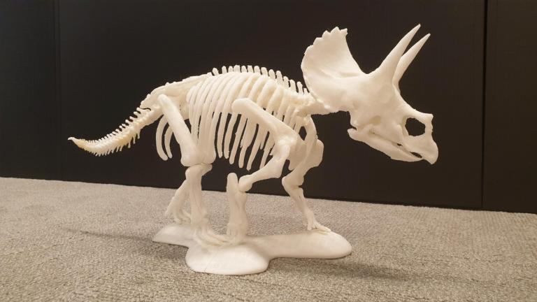 3D-print Triceratops