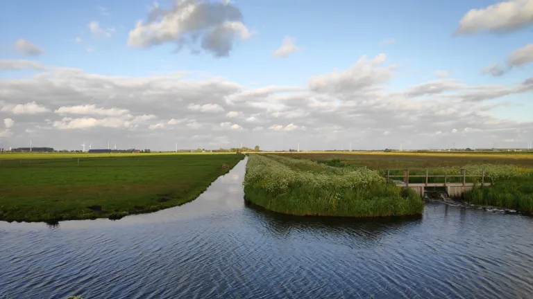 Links een soortenarm grasveld, rechts een met weidebloemen