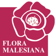 Logo Flora Malesiana