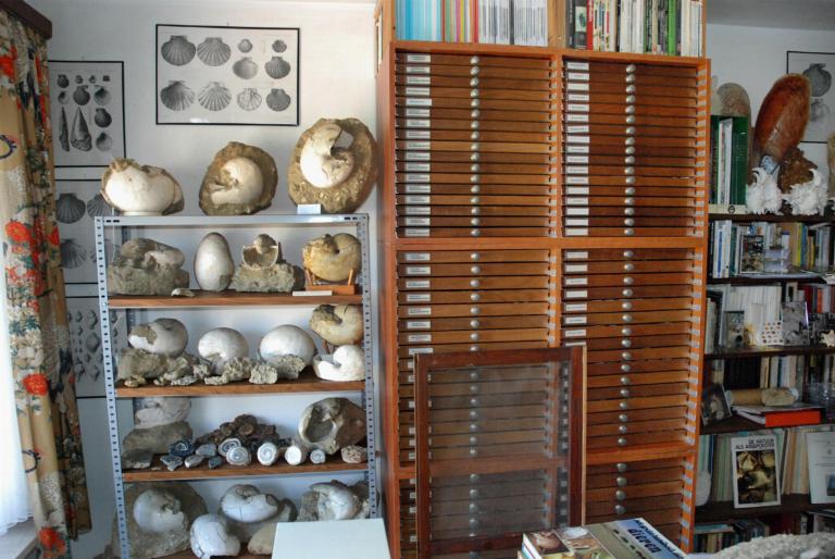 Privé-collectie fossiele schelpen bij iemand thuis