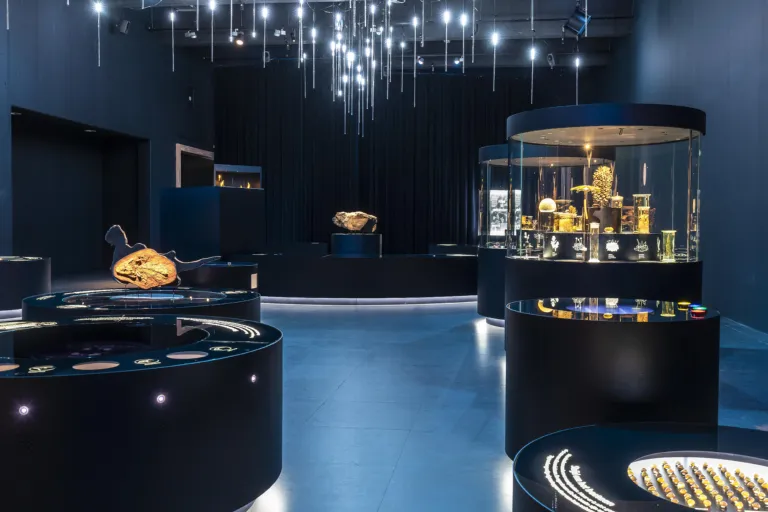 Building the exhibition Evolution