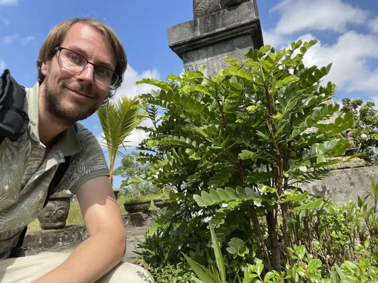 Roderick met phyllanthus