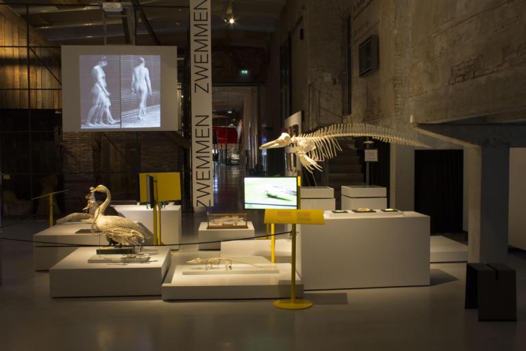 Van nul tot duizendpoot 