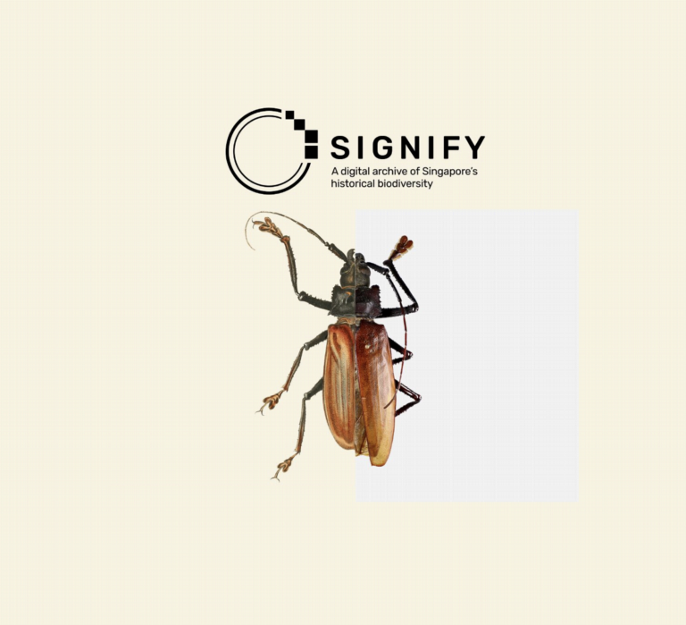 Signify logo met een insect