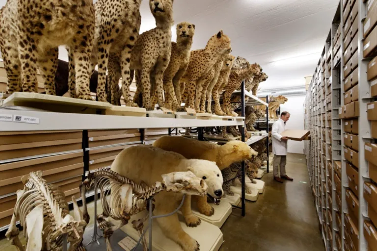 Steven in Zoogdieren depot