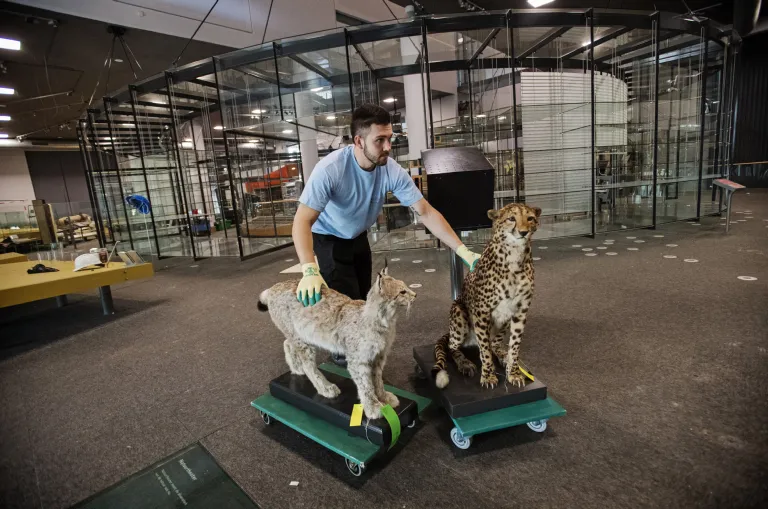 Verhuizing collectie uit museum