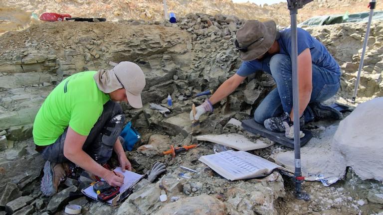 Naturalis is digging for dinosaurs