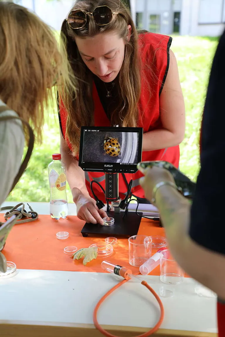 Junior Projectleider Fem Vincken tijdens de Langer Tag der Stadtnatur; ze laat bezoekers een lieveheersbeestje onder een kleine microscoop met een display zien © Stiftung Naturschutz Berlin / Christina Koormann