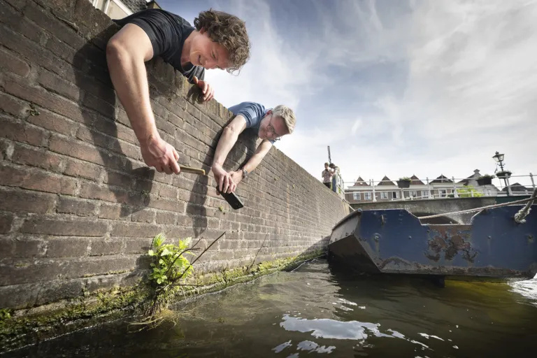 Twee mannen fotograferen een plantje in de gracht