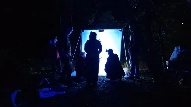 Vlinders spotten tijdens een nachtexpeditie