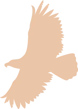 Afbeelding van een vogel