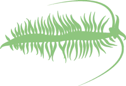 Afbeelding van een zeedier